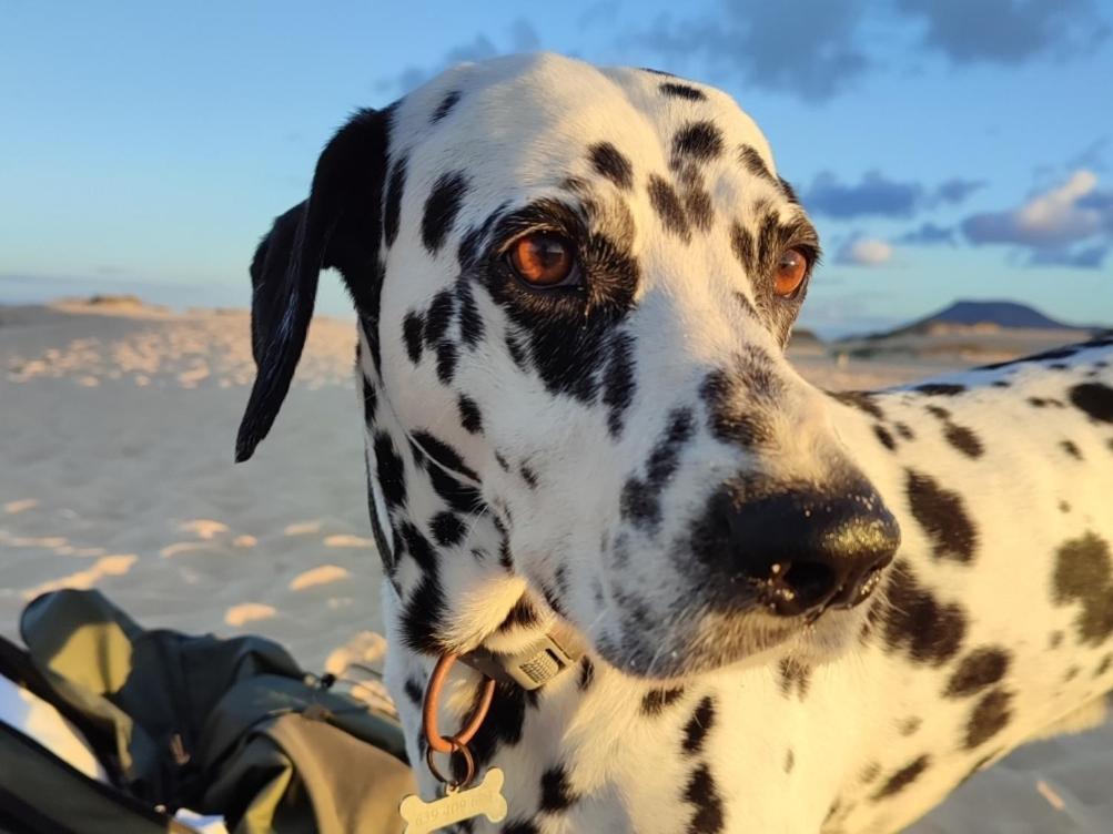 Fuerteventura Casa Tikuna La Oliva Kültér fotó